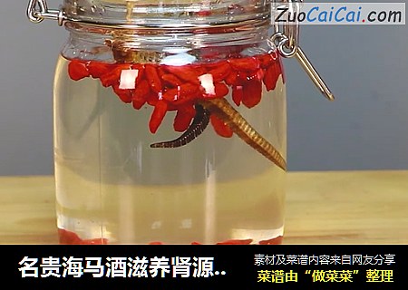 名贵海马酒滋养肾源，温补益气