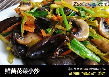 鲜黄花菜小炒