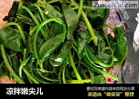 凉拌嫩尖儿