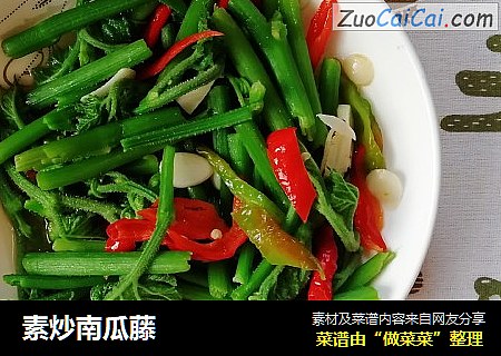 素炒南瓜藤