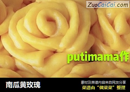 南瓜黄玫瑰