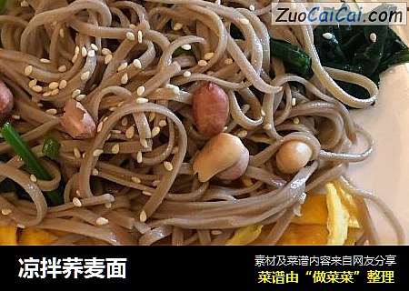 凉拌荞麦面