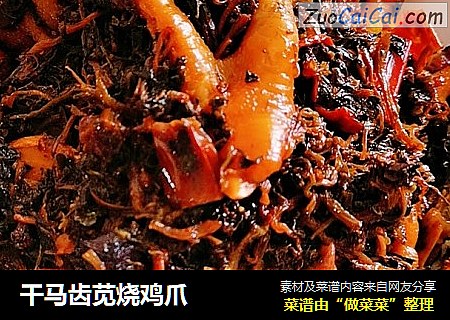 干马齿苋烧鸡爪