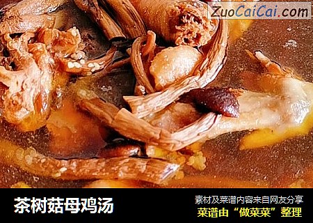 茶树菇母鸡汤