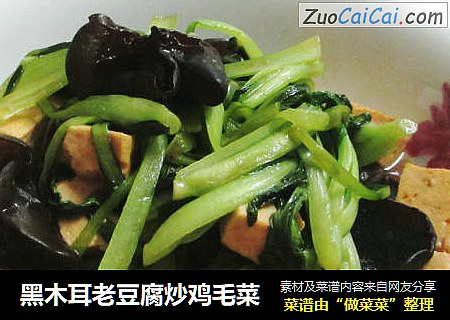 黑木耳老豆腐炒鸡毛菜