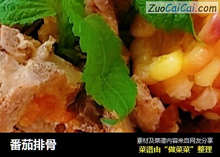 番茄排骨