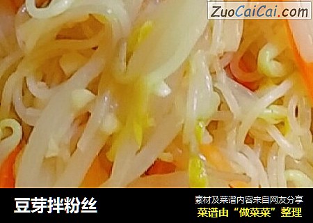 豆芽拌粉丝