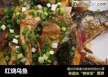 红烧乌鱼