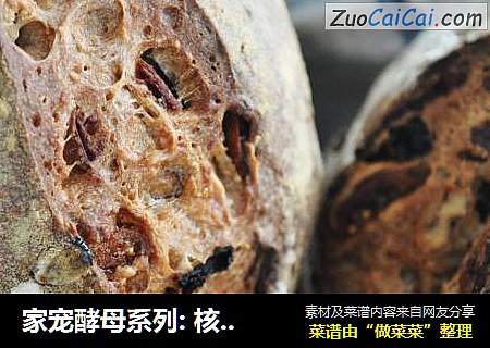 家宠酵母系列: 核桃果子包 (无花果,葡萄干,小檗)