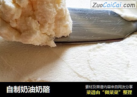 自制奶油奶酪