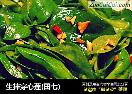 生拌穿心莲(田七)