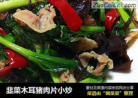 韭菜木耳猪肉片小炒