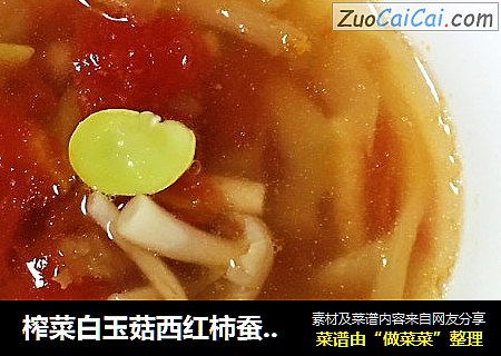 榨菜白玉菇西红柿蚕豆瓣汤