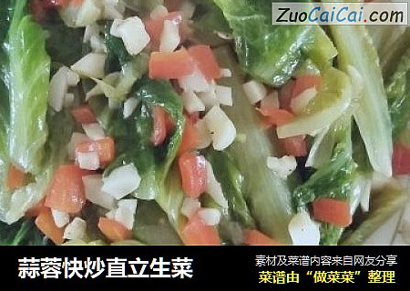 蒜蓉快炒直立生菜