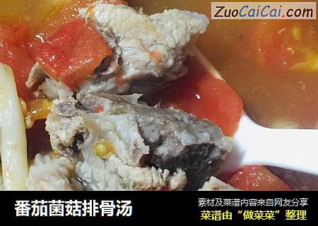 番茄菌菇排骨汤