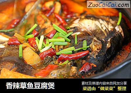 香辣草鱼豆腐煲