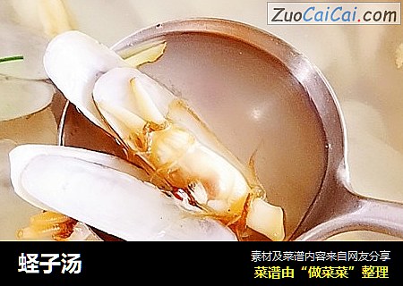 蛏子汤