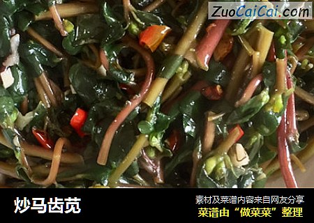炒马齿苋