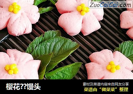樱花??馒头
