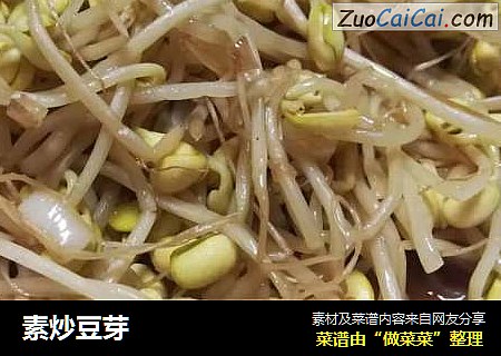 素炒豆芽