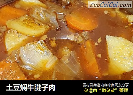 土豆焖牛腱子肉