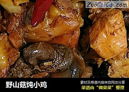 野山菇炖小鸡