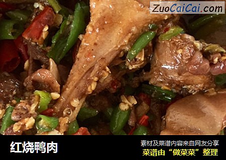 红烧鸭肉