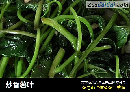 炒番薯叶
