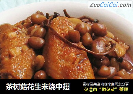 茶树菇花生米烧中翅