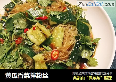 黄瓜香菜拌粉丝