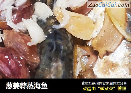 葱姜蒜蒸海鱼