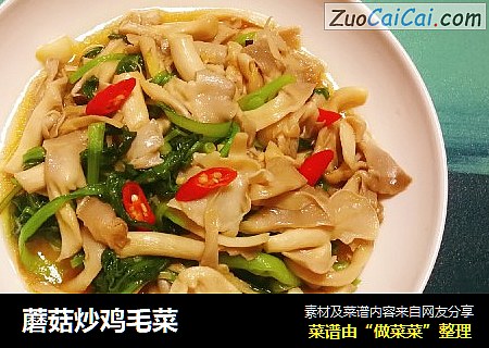 蘑菇炒鸡毛菜