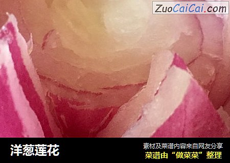 洋葱莲花