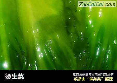 烫生菜