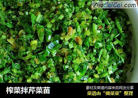 榨菜拌芹菜苗