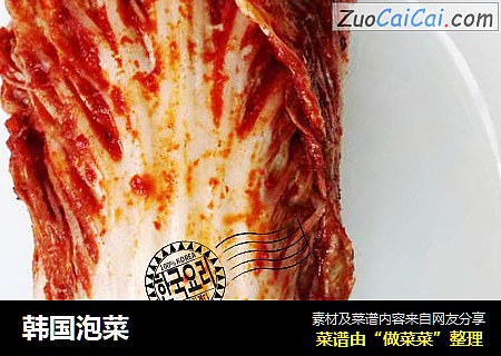 韩国泡菜