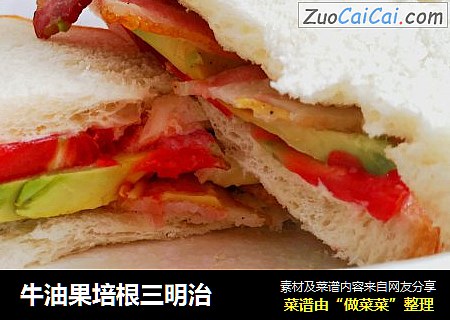 牛油果培根三明治