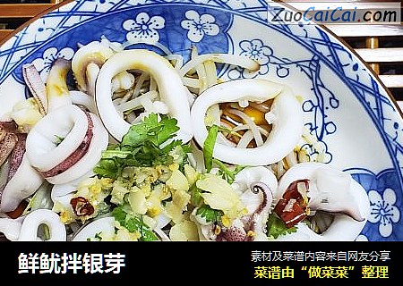 鲜鱿拌银芽