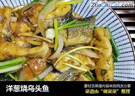 洋葱烧乌头鱼