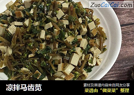 凉拌马齿苋