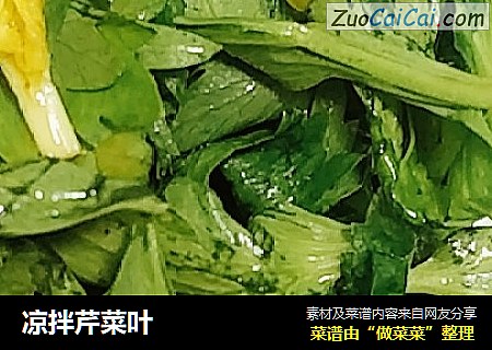 凉拌芹菜叶