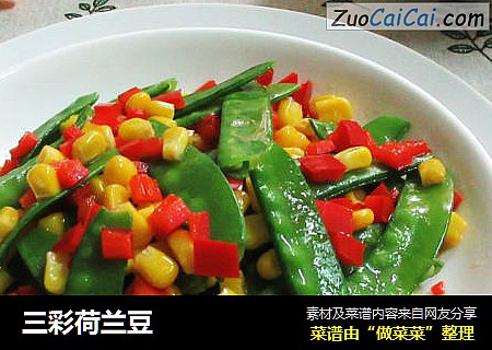三彩荷兰豆