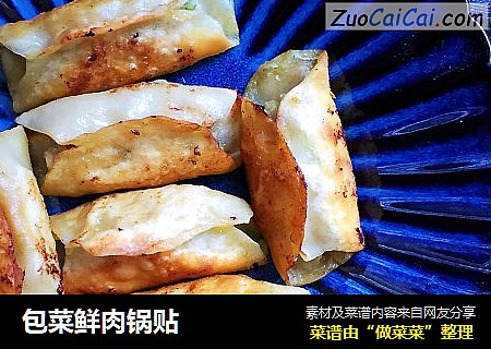 包菜鲜肉锅贴