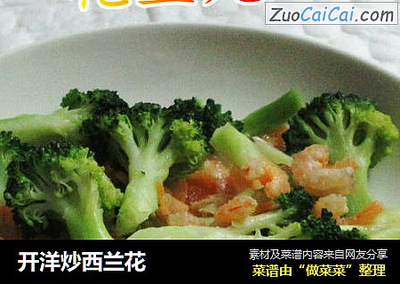 开洋炒西兰花