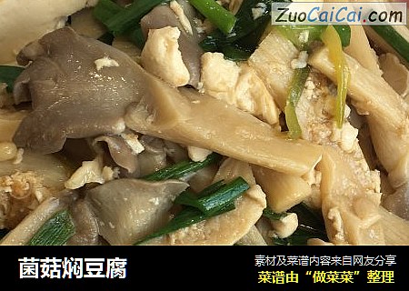 菌菇焖豆腐