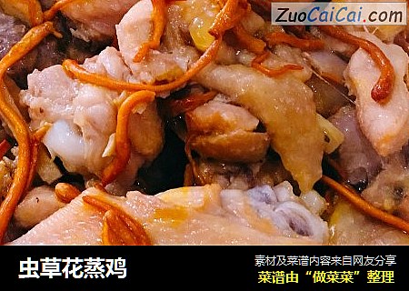 虫草花蒸鸡