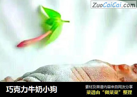 巧克力牛奶小狗