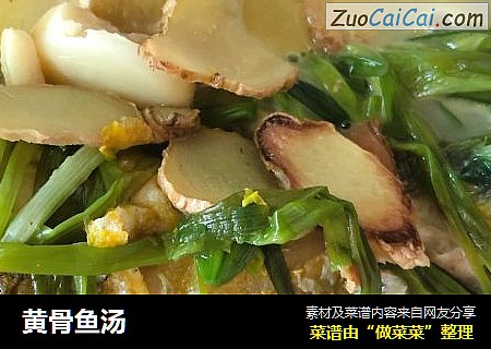 黄骨鱼汤