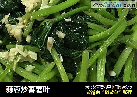 蒜蓉炒蕃薯叶