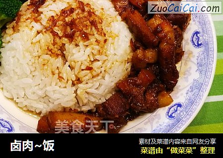 卤肉~饭